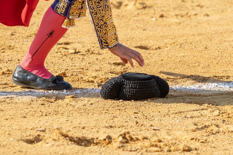 Los menores de 18 años podrán entrar gratis en las novilladas del Circuito de Madrid