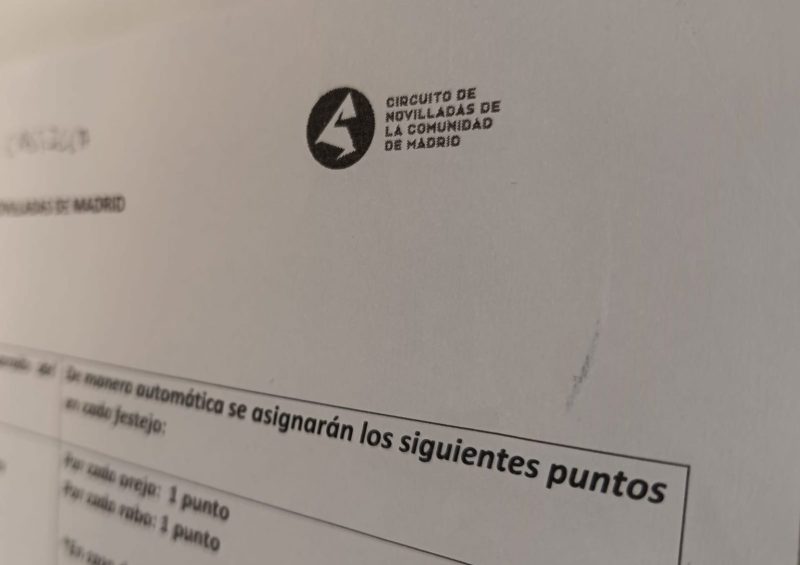 Conformado el jurado del Circuito de Madrid 2026