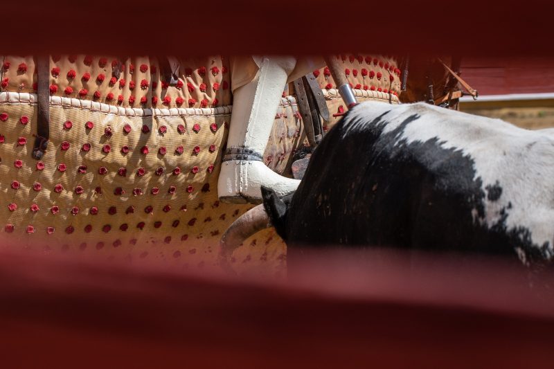 Quintas y Guerrero y Carpintero, duelo ganadero este sábado en El Álamo