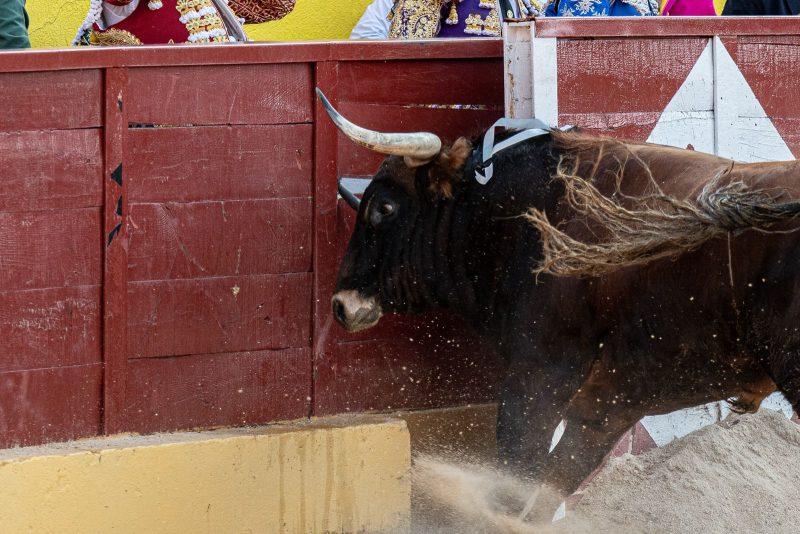 Fin de semana completo en el Circuito de Madrid