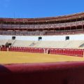 La gran final del Circuito de Novilladas de Andalucía 2026 ya tiene todos sus detalles definidos