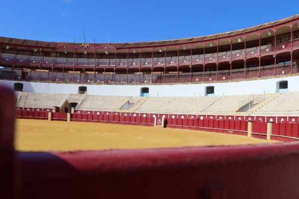 La gran final del Circuito de Novilladas de Andalucía 2026 ya tiene todos sus detalles definidos