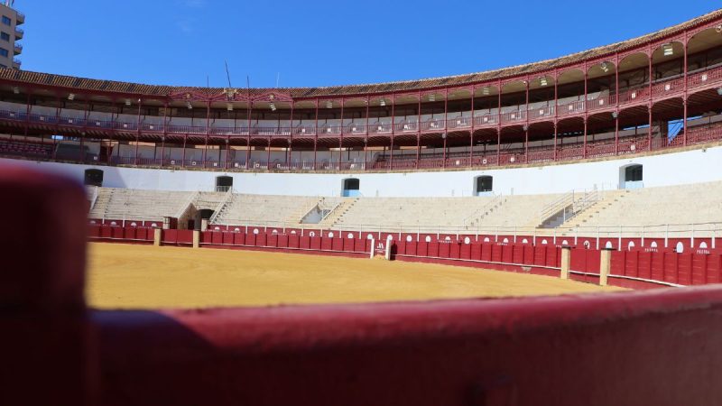La gran final del Circuito de Novilladas de Andalucía 2026 ya tiene todos sus detalles definidos