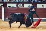Pedro Montaldo vuelve a Las Ventas en una nueva cita de compromiso