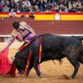 Ian Bermejo afronta su debut con picadores: «Es cumplir un sueño y dar un paso muy importante en mi carrera»