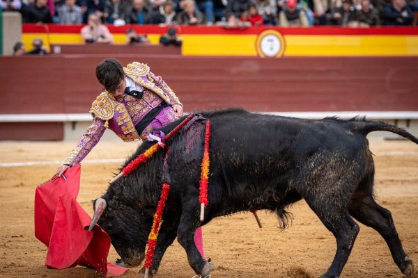 Ian Bermejo afronta su debut con picadores: «Es cumplir un sueño y dar un paso muy importante en mi carrera»