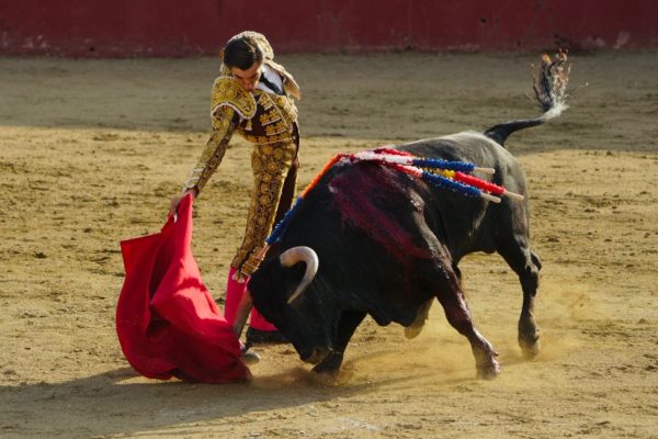 Álvaro Rojo: “Ahora mismo, ganar el Circuito de Castilla y León lo supondría todo para mí”