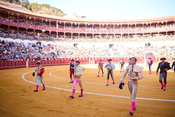 DIRECTO: Gran Final del Circuito de Novilladas de Andalucía 2026