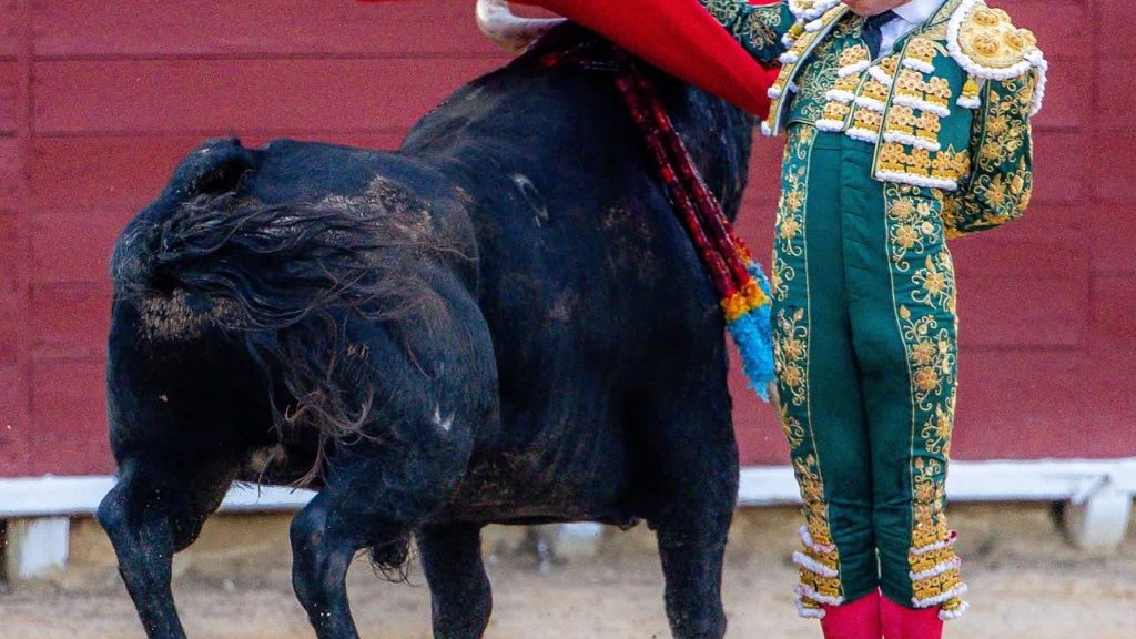 Javier Cuartero afronta la semifinal de Algemesí con la ilusión de «seguir evolucionando como torero»