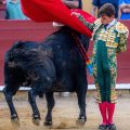 Javier Cuartero afronta la semifinal de Algemesí con la ilusión de «seguir evolucionando como torero»