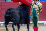 Javier Cuartero afronta la semifinal de Algemesí con la ilusión de «seguir evolucionando como torero»