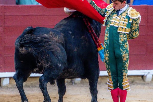Javier Cuartero afronta la semifinal de Algemesí con la ilusión de «seguir evolucionando como torero»