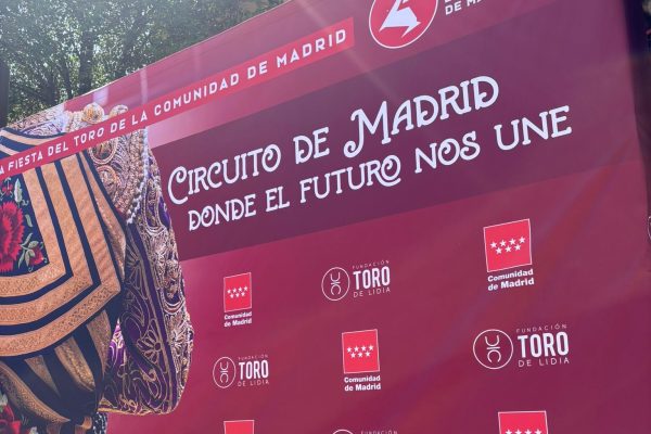La sexta edición del Circuito de Madrid deja unos datos para enmarcar