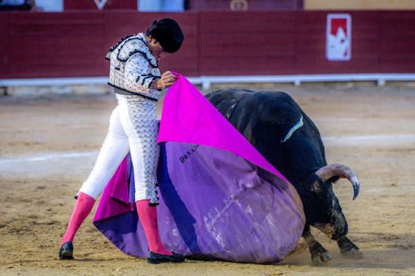 Alberto Donaire afronta Algemesí con «mucha responsabilidad» ante la afición valenciana que le ha visto crecer