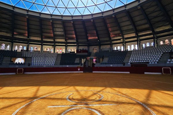 La Fundación Toro de Lidia logró que Villena volviera a tener toros