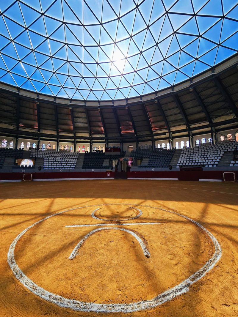 La Fundación Toro de Lidia logró que Villena volviera a tener toros