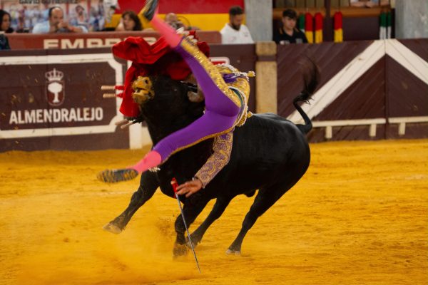 David Gutiérrez recibe el alta hospitalaria tras el percance sufrido en la Gran Final
